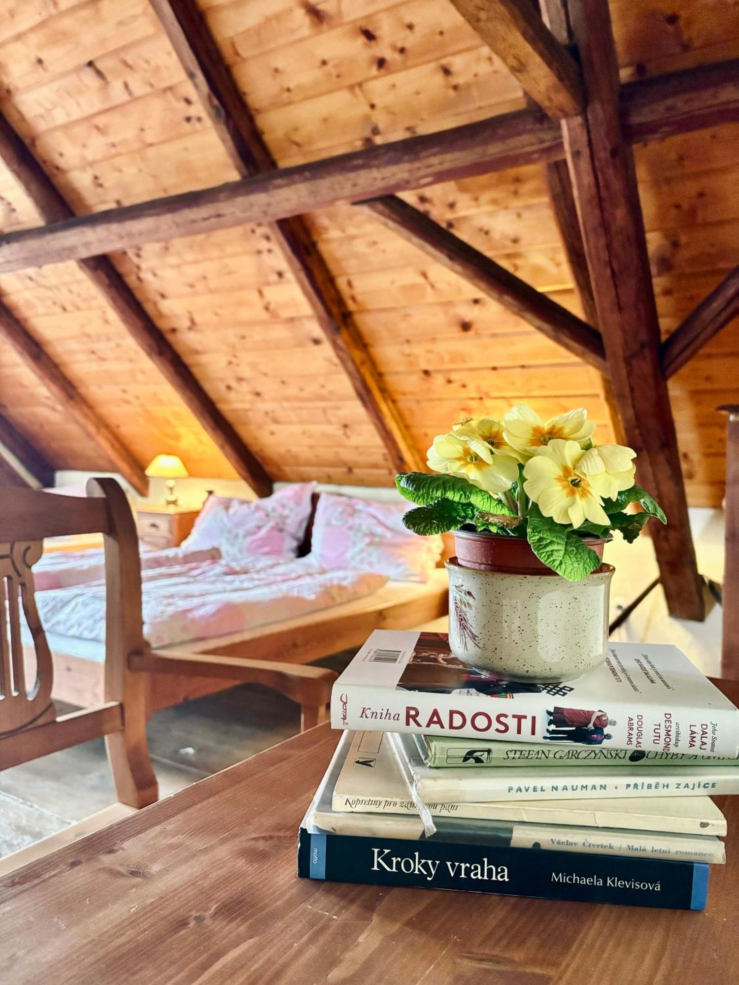 Apartmany Penzion Katerina Nadejkov Екстериор снимка