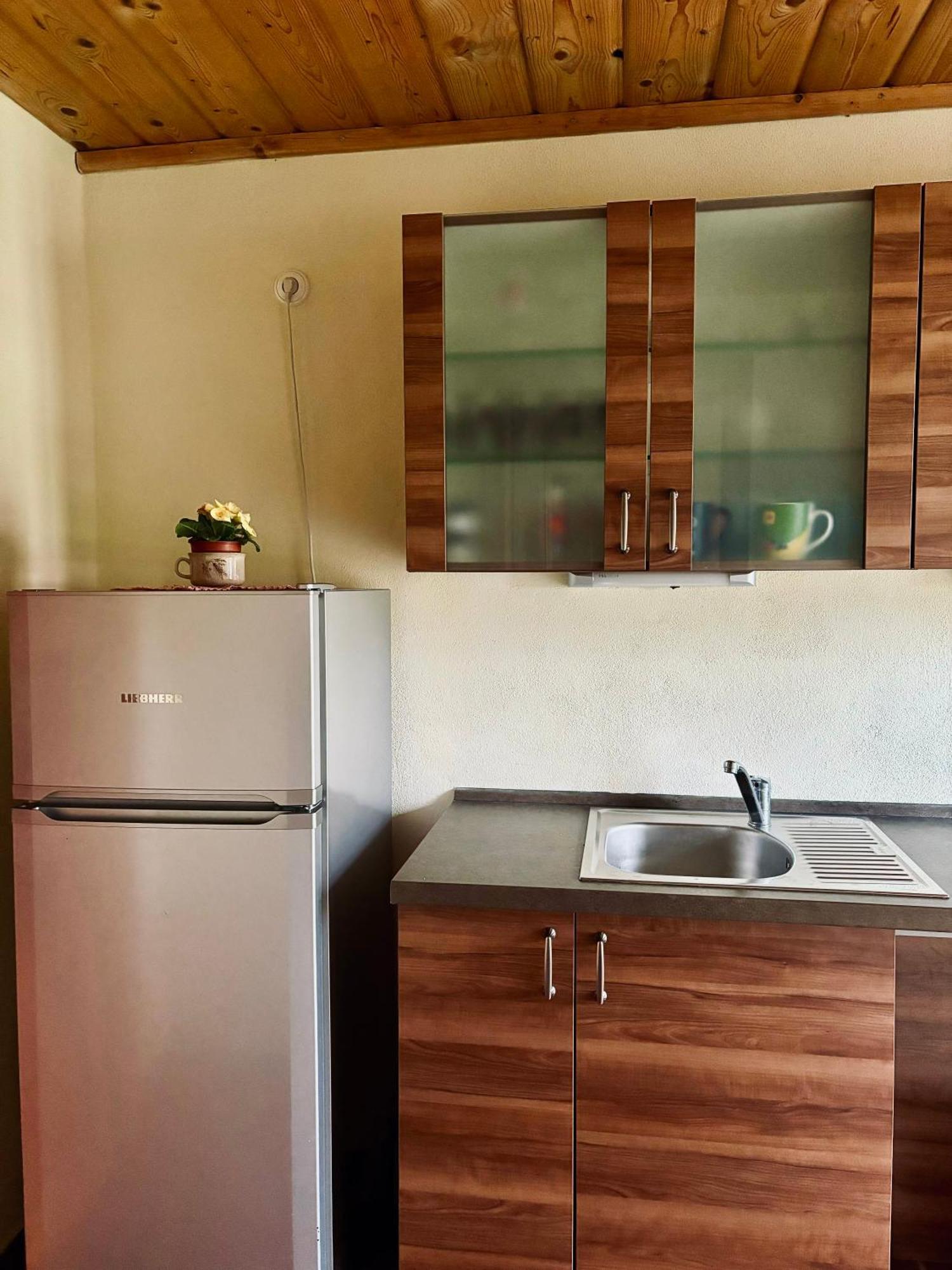 Apartmany Penzion Katerina Nadejkov Екстериор снимка